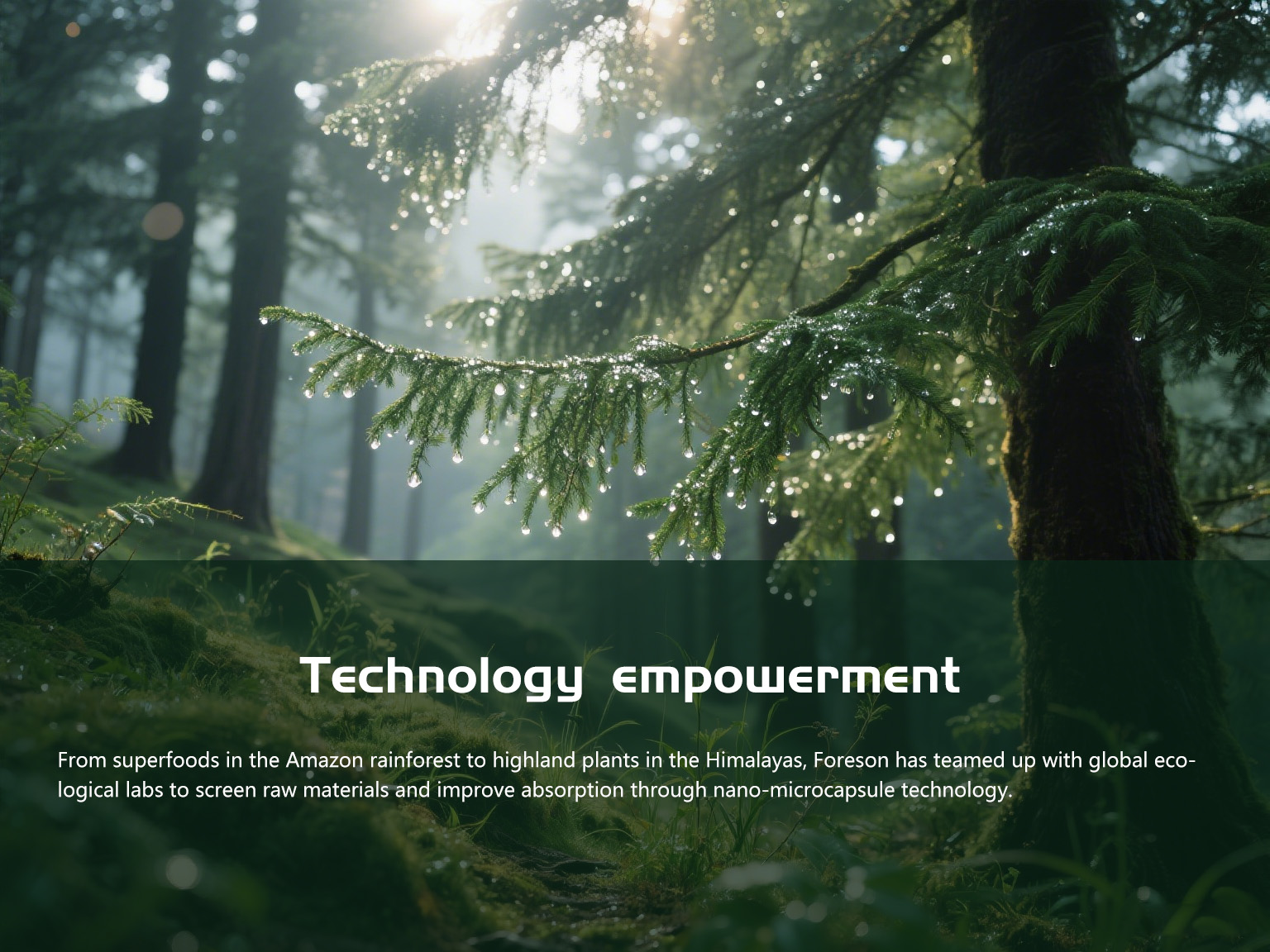 Certificate of Honor Ⅸ